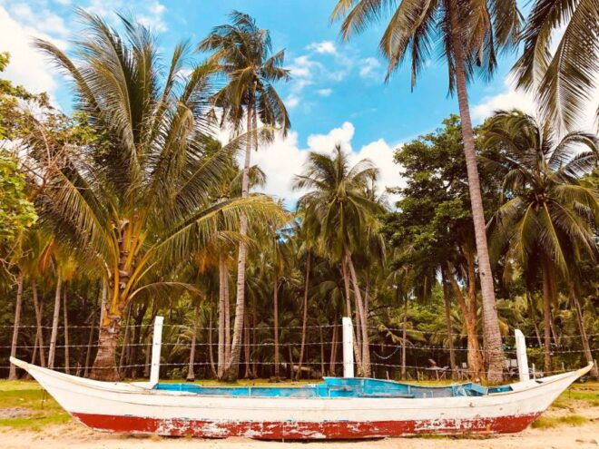Puerto Princesa: Private Underground River and Cowrie Tour - Customer Testimonial and Additional Information