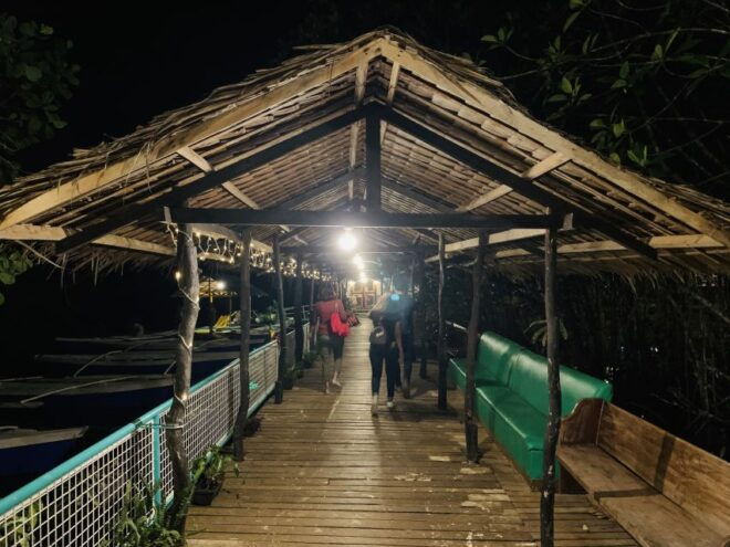 Puerto Princesa: Underground River and Firefly Watching Tour - Review Summary