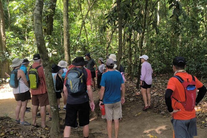 Puerto Princesa Underground River Guided Trekking Tour - The Experience in Detail