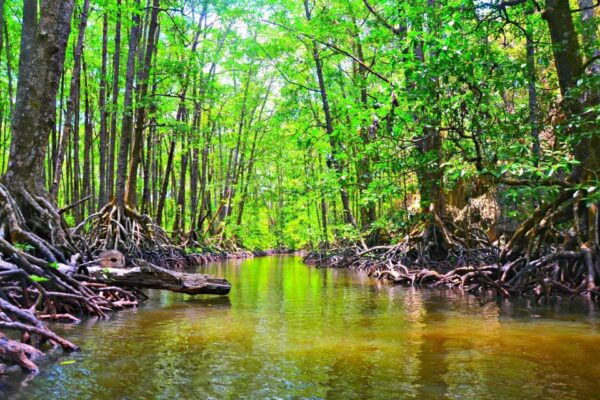 Puerto Princesa: Underground River, Zipline, Paddleboat Tour - Common Questions
