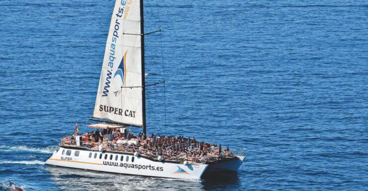Puerto Rico : 2 Hour Dolphin Catamaran Excursion - Duration and Live Tour Guides