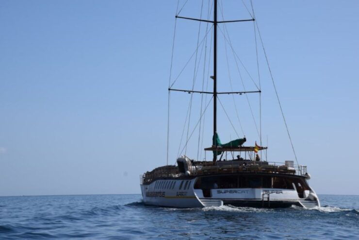 Puerto Rico : 2 Hour Dolphin Catamaran Excursion - Free Cancellation and Pickup Included