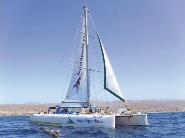 Puerto Rico :4 Hour Catamaran Excursion in the South - Experience