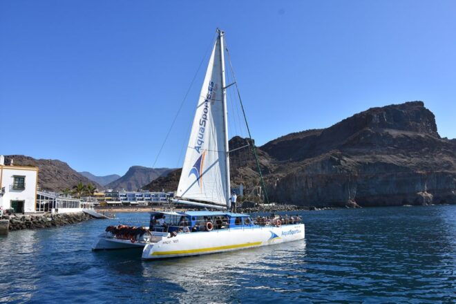 Puerto Rico :4 Hour Catamaran Excursion in the South - Helpful Information