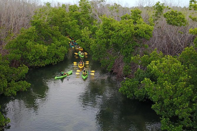 Puerto Rico Bio Bay Kayak Adventure Tour - The Sum Up
