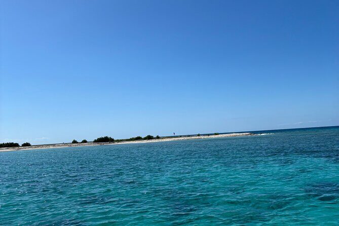 Puerto Rico: Bio Bay Swim and Sunset Charter or Late night tour - Good To Know