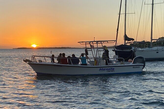 Puerto Rico: Bio Bay Swim and Sunset Charter or Late night tour - Practical Tips for Your Trip