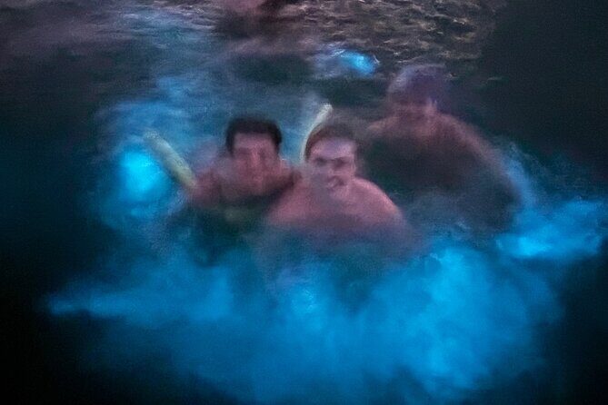 Puerto Rico: Bio Bay Swim and Sunset Charter or Late night tour - The Sum Up