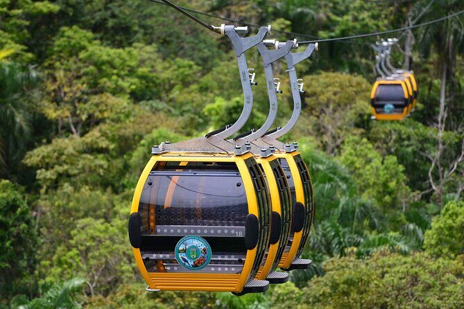 Puerto Rico Cable Car and Bird Sanctuary Tour - Exploring the Puerto Rico Cable Car and Bird Sanctuary Tour