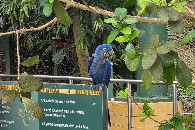 Puerto Rico Cable Car and Bird Sanctuary Tour - Who Is This Tour Best For?