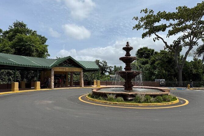 Puerto Rico Cable Car and Bird Sanctuary Tour - Final Thoughts