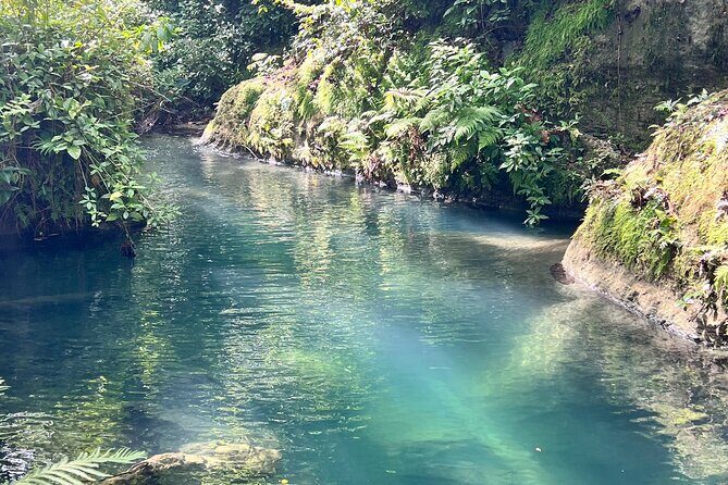 Puerto Rico Charco Azul Hiking Adventure - The Cost and Value
