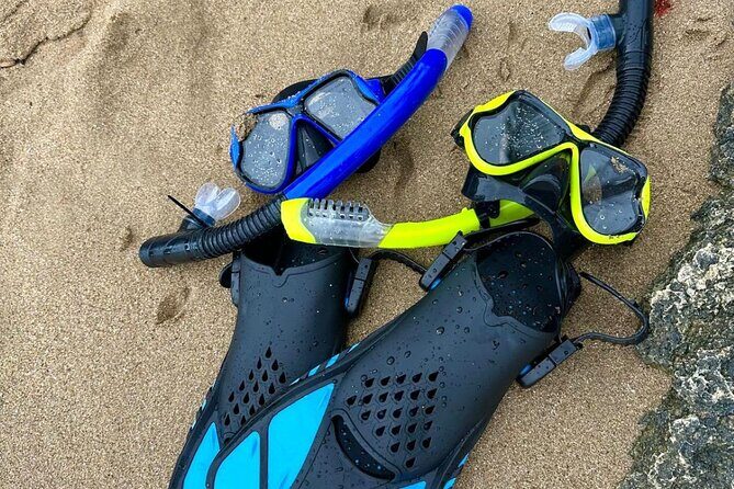 Puerto Rico: Crash Boat UTV Experience with Snorkel Gear - The Overview: What to Expect from the Crash Boat UTV Tour