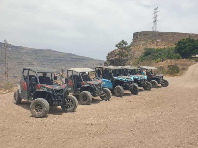 Puerto Rico de Gran Canaria: Offroad Buggy Tour - Authentic Experiences and Genuine Feedback