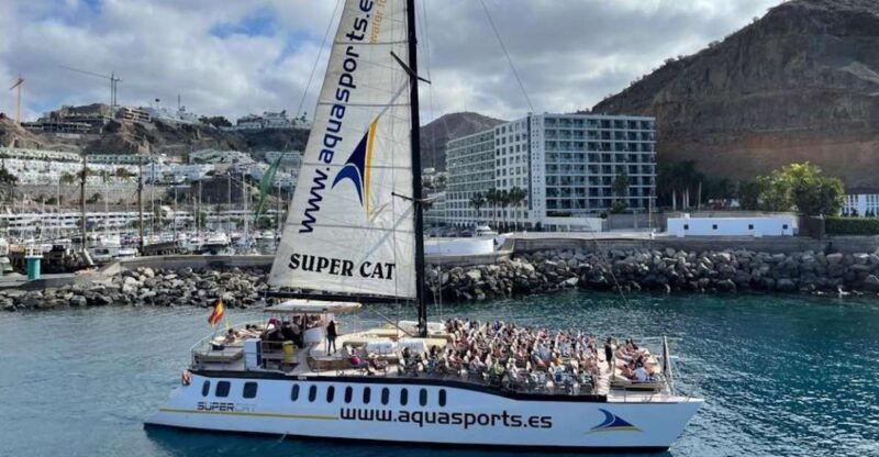 Puerto Rico De Gran Canaria: Premium Dolphin Catamaran Tour - Good To Know
