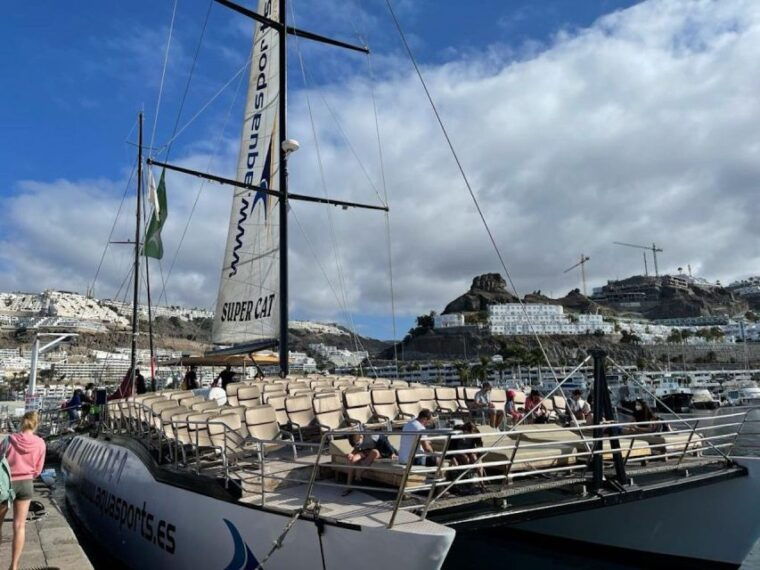 Puerto Rico De Gran Canaria: Premium Dolphin Catamaran Tour - Onboard Activities and Extras