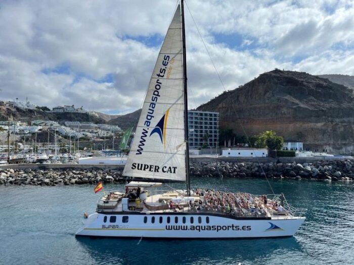 Puerto Rico De Gran Canaria: Premium Dolphin Catamaran Tour - Customer Feedback and Ratings