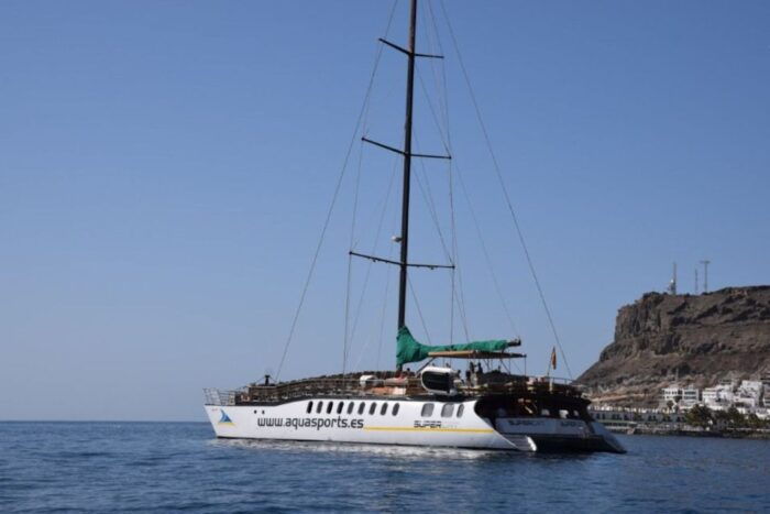 Puerto Rico De Gran Canaria: Premium Dolphin Catamaran Tour - Preparing for the Tour