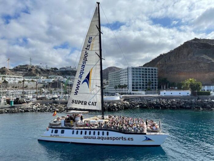 Puerto Rico De Gran Canaria: Premium Dolphin Catamaran Tour - Booking and Availability