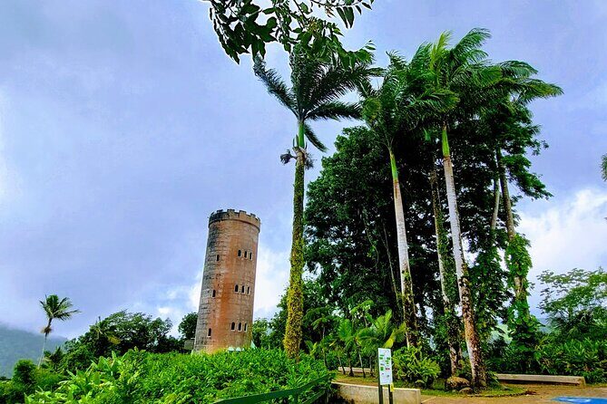 Puerto Rico: El Yunque Sightseeing Half-Day Tour w/Transfer - Exploring the El Yunque Rainforest with a Half-Day Tour from Isla Verde