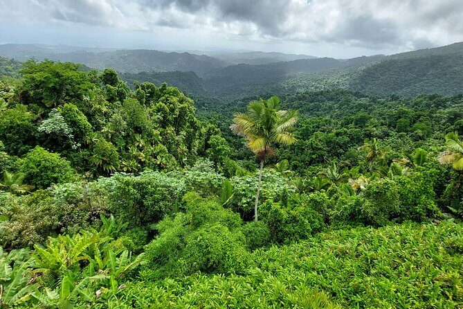 Puerto Rico: El Yunque Sightseeing Half-Day Tour w/Transfer - Final Thoughts