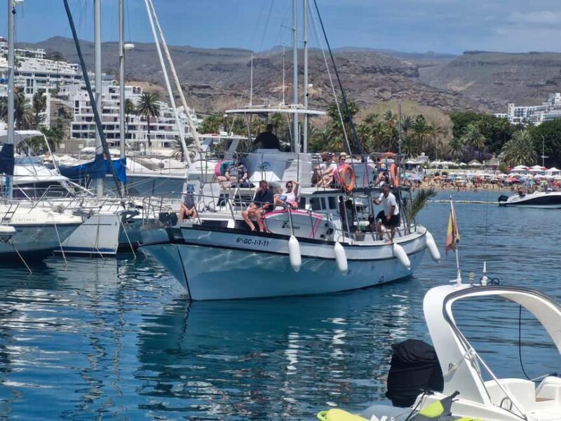 Puerto Rico, Gran Canaria: boat trip, drinks, food, paddle surfing, snorkeling. - Playa del Perchel: Swimming, Paddling, and Tasting