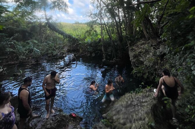 Puerto Rico Hidden Spring Swim and Beach Snorkeling Tour - Tour Highlights
