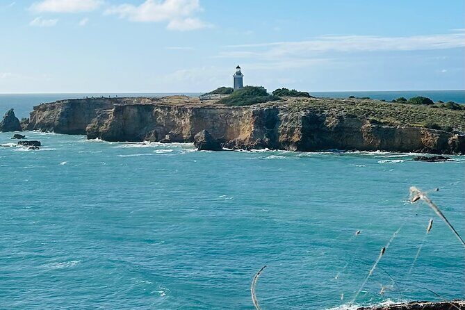 Puerto Rico Hiking Adventure Nature History and Coastal Views - Why This Tour Stands Out