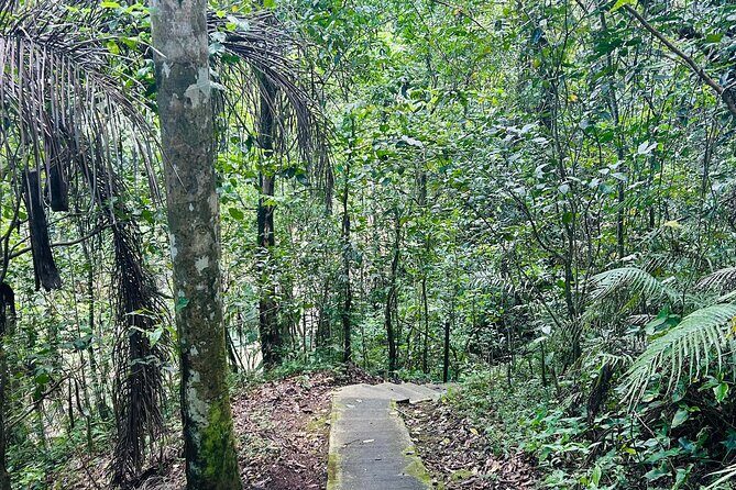 Puerto Rico Hiking Adventure Nature History and Coastal Views - Who Should Consider This Tour?
