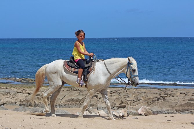 Puerto Rico Horseback Riding Through Secluded Beaches and Tropical Forests - Customer Reviews and Recommendations