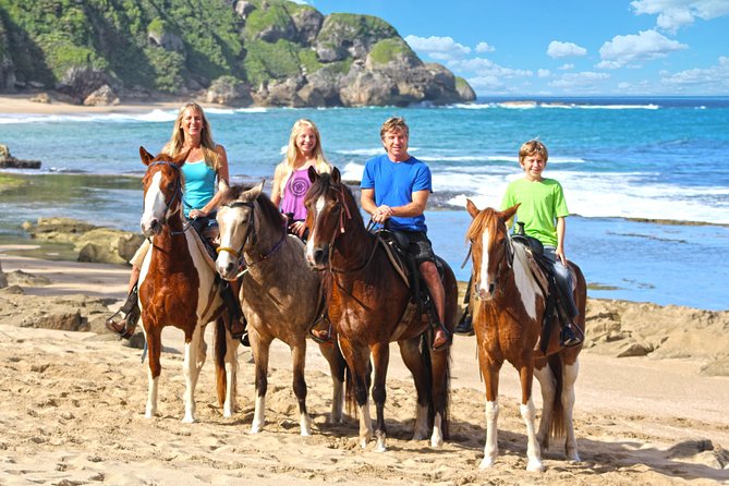 Puerto Rico Horseback Riding Through Secluded Beaches and Tropical Forests - Viator Help Center and Terms & Conditions
