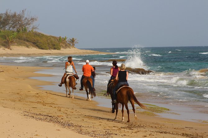 Puerto Rico Horseback Riding Through Secluded Beaches and Tropical Forests - The Sum Up