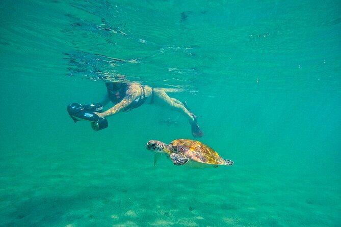 Puerto Rico Jet Snorkel with Turtles and Videos in San Juan - What to Expect from the Tour