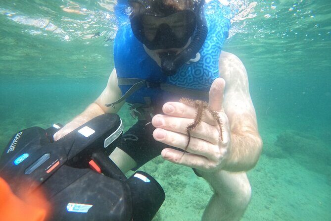 Puerto Rico Jet Snorkel with Turtles and Videos in San Juan - Authentic Encounters and Marine Life