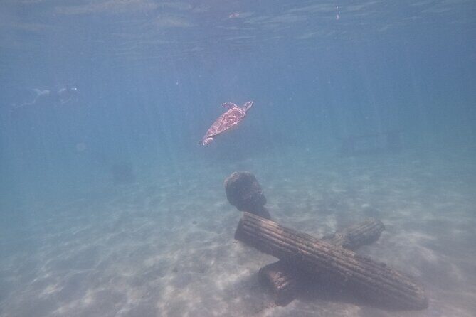 Puerto Rico Jet Snorkel with Turtles and Videos in San Juan - Who Will Love This Tour?