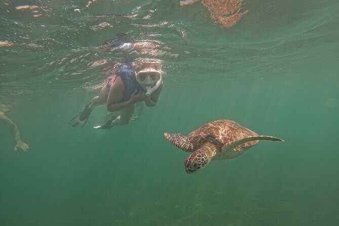 Puerto Rico Jet Snorkel with Turtles and Videos in San Juan - The Sum Up