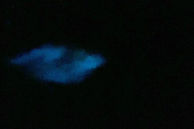 Puerto Rico: Kayaking in Magical Bioluminescent Bay - Cancellation Policy