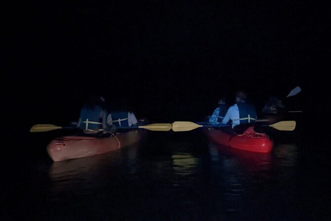 Puerto Rico: Kayaking in Magical Bioluminescent Bay - Traveler Photos