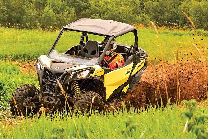 Puerto Rico Offroad UTV Experience - Just 5 Minutes From San Juan - Good To Know
