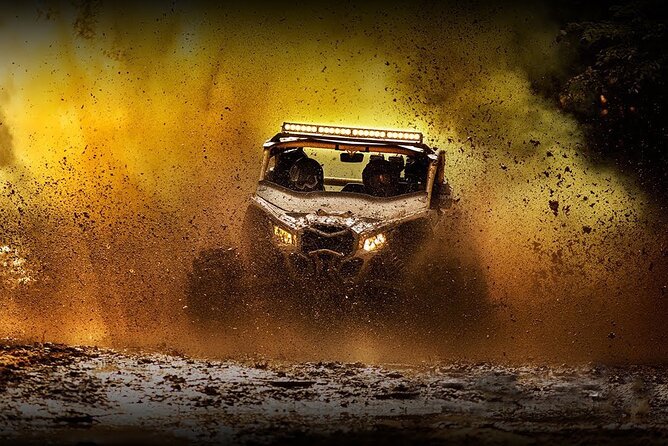 Puerto Rico Offroad UTV Experience - Just 5 Minutes From San Juan - What To Expect