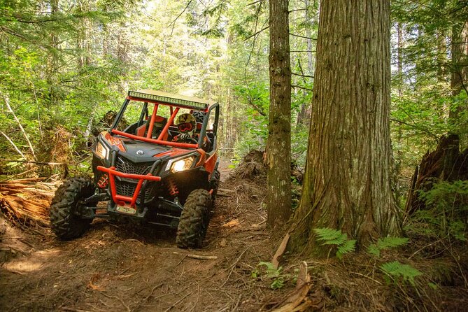 Puerto Rico Offroad UTV Experience - Just 5 Minutes From San Juan - Additional Information