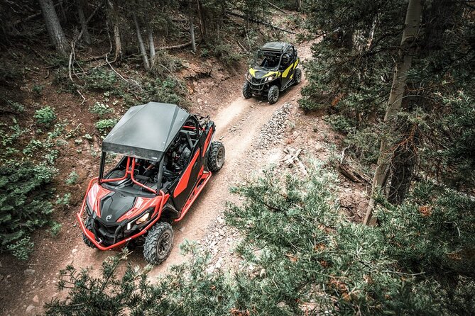 Puerto Rico Offroad UTV Experience - Just 5 Minutes From San Juan - Customer Reviews