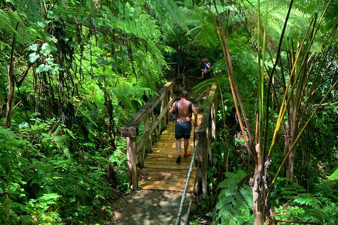 Puerto Rico: Rainforest and Beach Combo Tour  - San Juan - Nature Walk Within the El Yunque National Forest Reserve