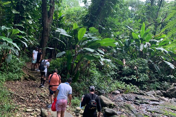 Puerto Rico: Rainforest and Beach Combo Tour  - San Juan - Alternative Tours Recommended for Exploring El Yunque