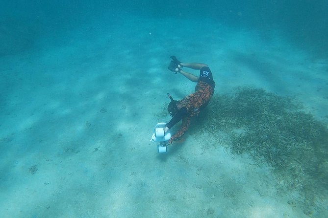 Puerto Rico Small-Group Jet-Powered Snorkel and Turtle Snorkel - Snorkeling With Jet-Powered Aid