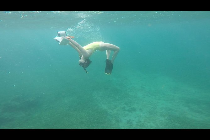 Puerto Rico Small-Group Jet-Powered Snorkel and Turtle Snorkel - Positive Customer Reviews