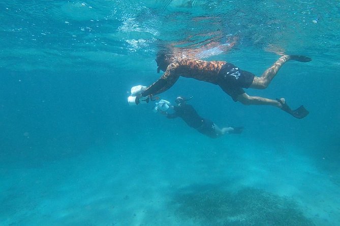 Puerto Rico Small-Group Jet-Powered Snorkel and Turtle Snorkel - Copyright and Terms and Conditions