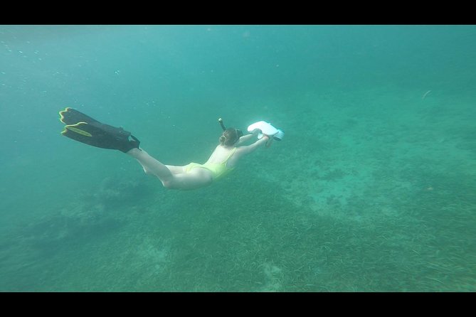 Puerto Rico Small-Group Jet-Powered Snorkel and Turtle Snorkel - Common Questions