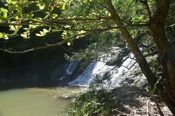 Puerto Rico Waterfall Hiking Tour: Discover Hidden Gems 2.0 - Good To Know