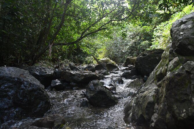 Puerto Rico Waterfall Hiking Tour: Discover Hidden Gems 2.0 - A Full Breakdown of the Experience
